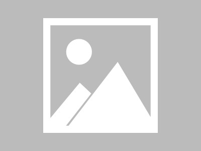 宁乡信息咨询服务，助力企业发展新机遇